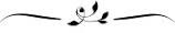 decorative-line-14.jpg