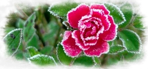 IMG＿3422.jpg