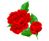 rose-69-200.png