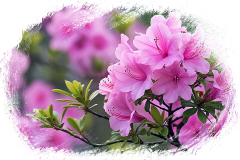 IMG＿3418+.png