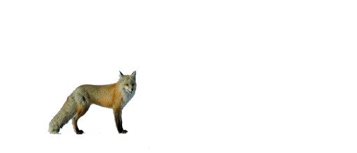 R.gif