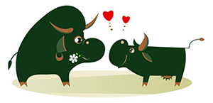 bull-and-cow-in-lovex300.png