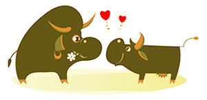 bull-and-cow-in-lovex300-.png