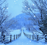 Winter Road of Jap…