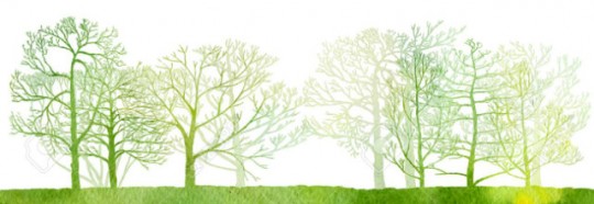 forest.png